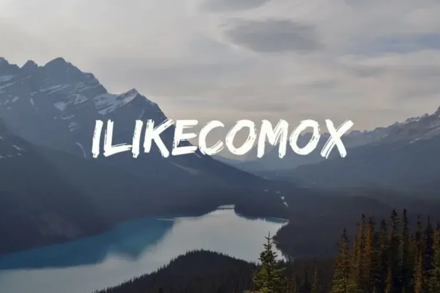Ilikecomox: Boost Your Business’s Online Presence And Efficiency