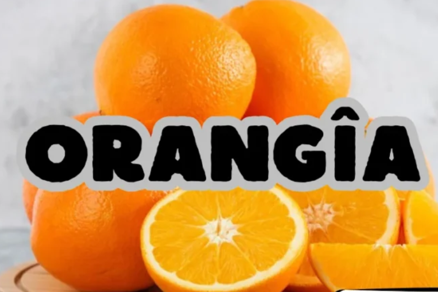 Orangîa: A Journey into the Mythical World of the Legendary Fruit